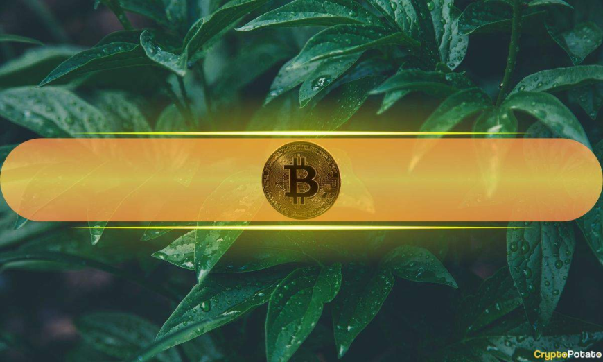 Rare Investor Alignment Emerges as Bitcoin (BTC) Rallies From Geopolitical Dip
