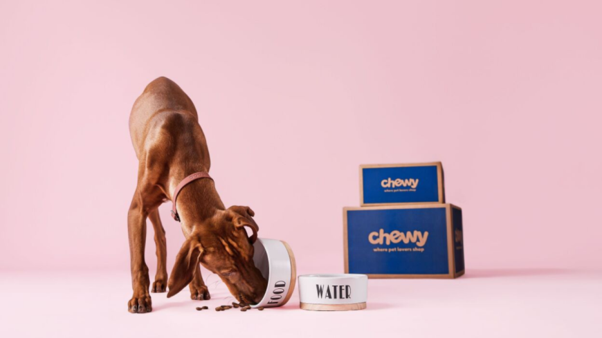 Chewy is handing out free $30 gift cards — heres how to get yours