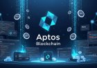 Aptos Airdrop Season: Top Wallets, Testnet Users, and Early Devs Reap Rewards